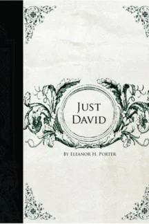 Just David by Eleanor H. Porter - book cover